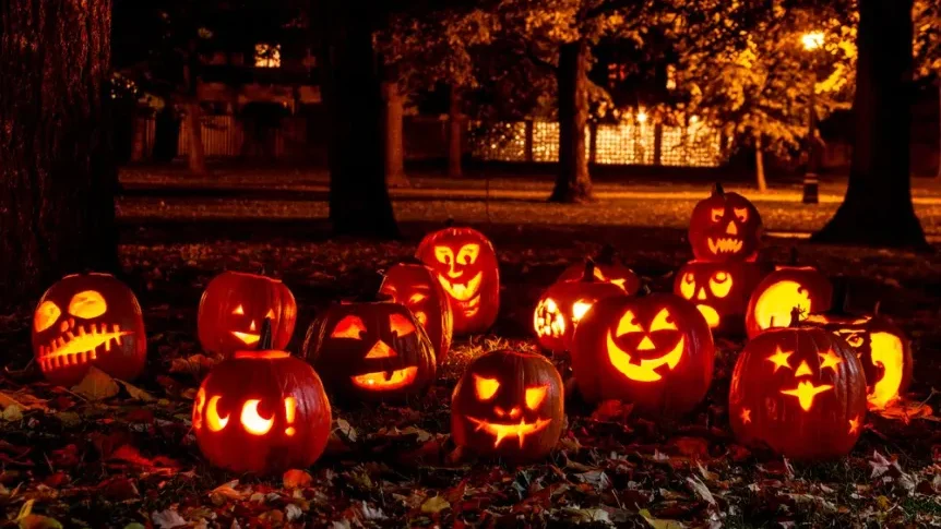 Tips for Choosing Perfect Halloween Pumpkin 2022 